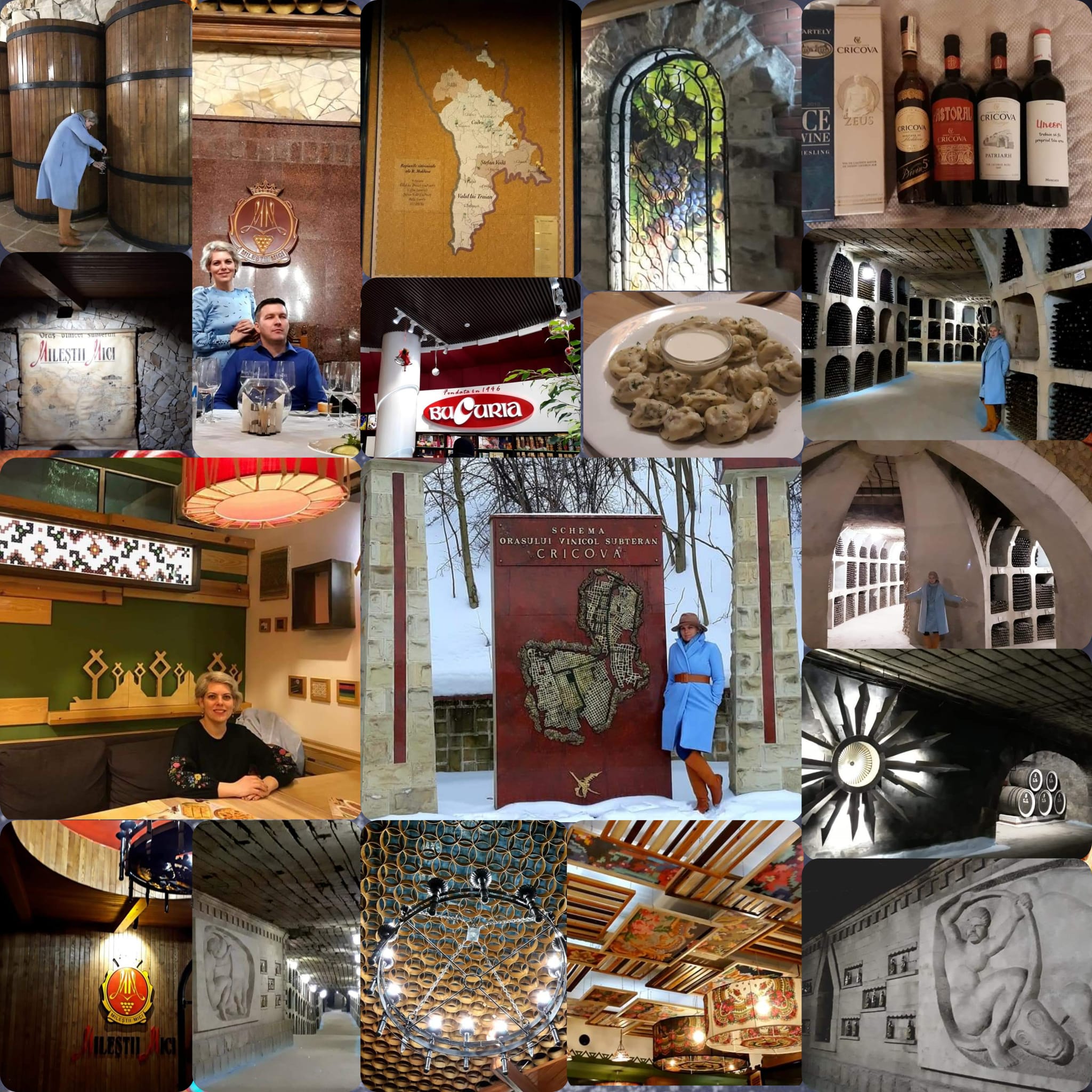 Farmecul Autentic al Moldova: Drumul Vinului 🥧🍷🍇
